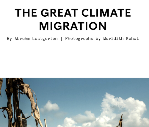 forced migration case study pdf